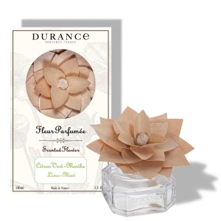 Scented Flower Lime Mint