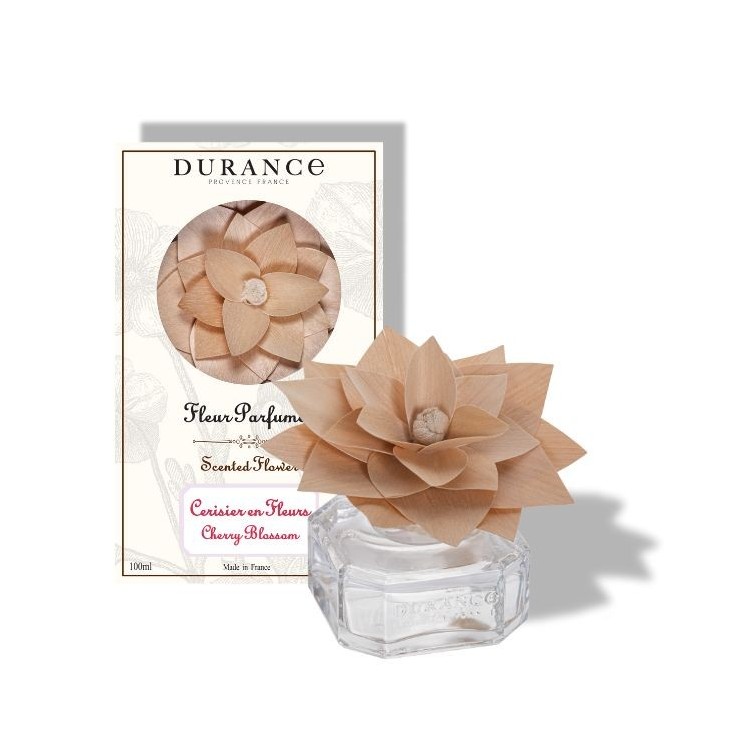 Fleur parfumée cerisier en fleurs