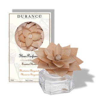 Fleur parfumée mandarine bergamote