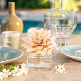 Fleur Parfumée Riviera Azur 2