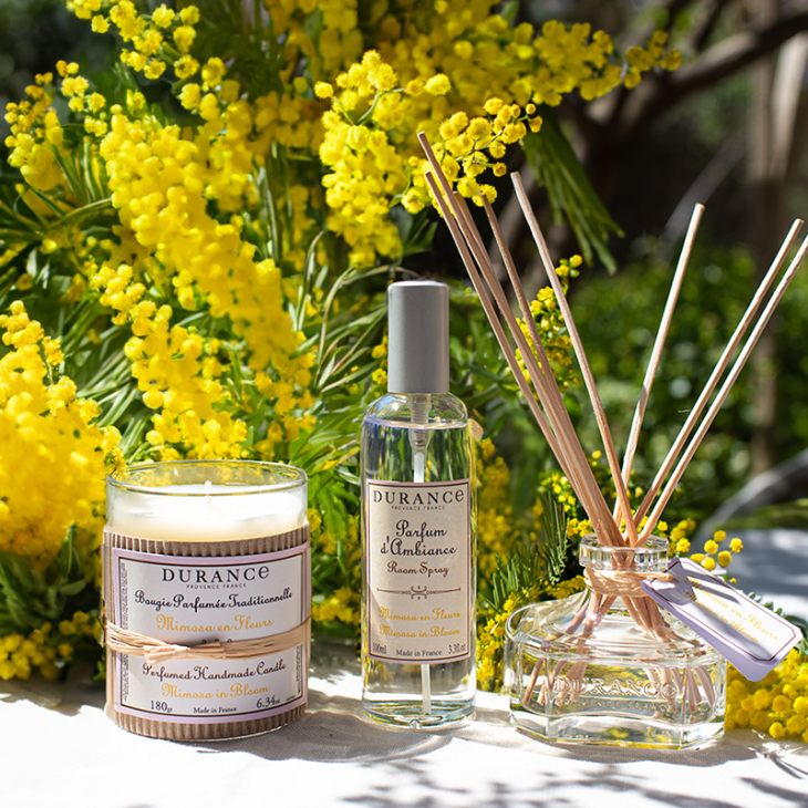 senteur mimosa bouquet et bougie