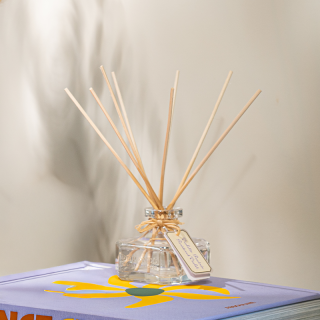 Recharge Diffuseur de Parfum Violette Poudrée 2