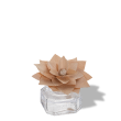 Scented Flowers
